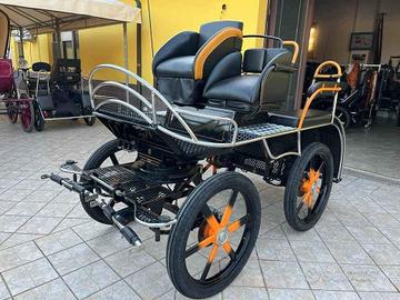 Carrozza Top Marathon (88)