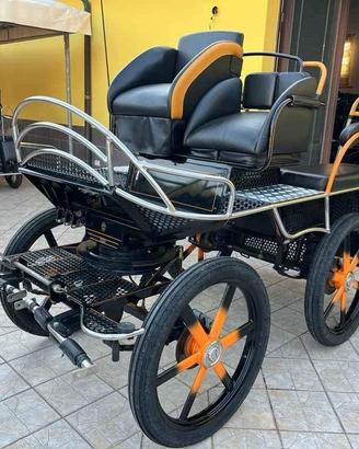 Carrozza Top Marathon (88)