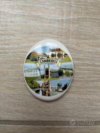 Calamita frigo Cambridge