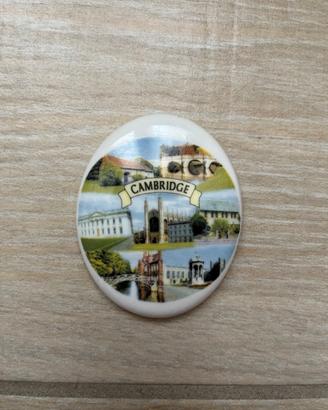 Calamita frigo Cambridge