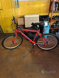 Bicicletta