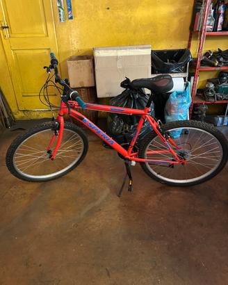 Bicicletta