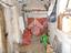 Immagine 12