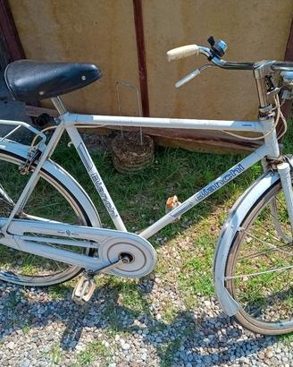 bicicletta bianchi