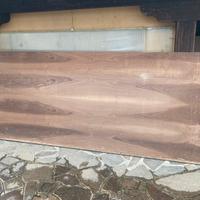 Pannello compensato impiallacciato noce 302 x 122