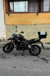 Motron x-nord 125 2023