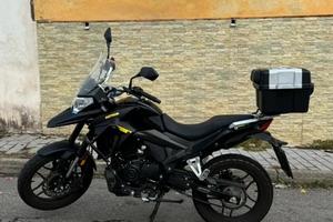 Motron x-nord 125 2023