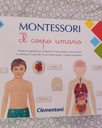 Clementoni MONTESSORI - Il corpo umano
