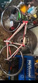 bici da corsa adulto