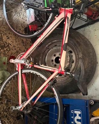 bici da corsa adulto