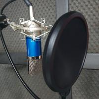 Microfono da studio TONON + Asta lunga