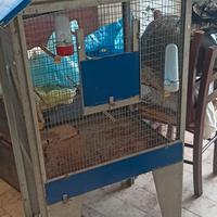 Gabbia per Pappagalli o canarini 