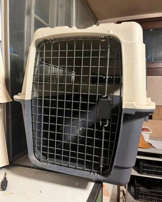 Trasportino per cane dimensione medio-grande