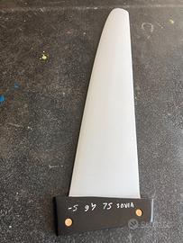 Pinna carbon 46