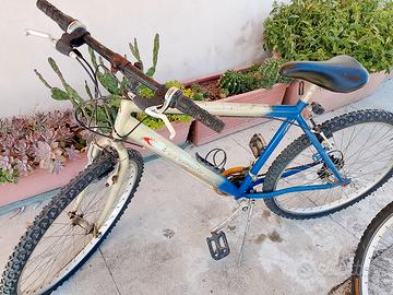 Bicicletta Mount Bike (due)