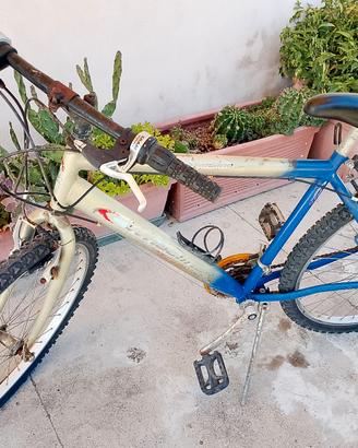 Bicicletta Mount Bike (due)