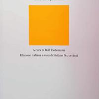 T. W. Adorno - Metafisica, Concetto e problemi
