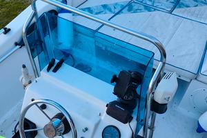 Barca open  460 + motore 50 CV + carrello