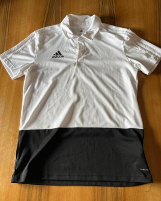 Polo adidas