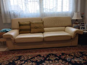 Divani in pelle