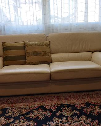 Divani in pelle