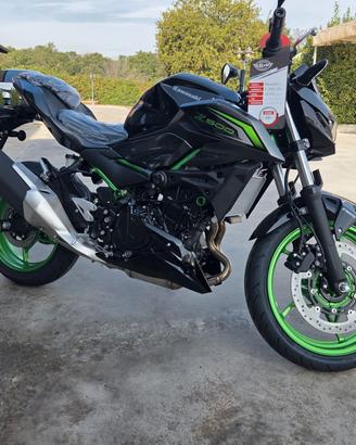 Kawasaki Z 500
