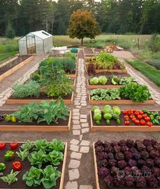 Terreno agricolo