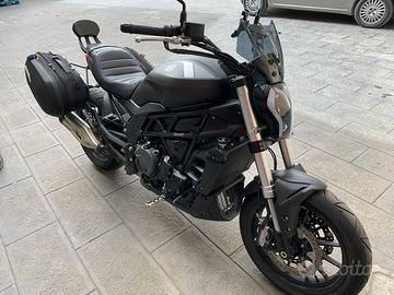 Benelli 502 C - 2019