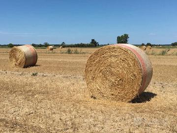 Balloni di fieno da campo