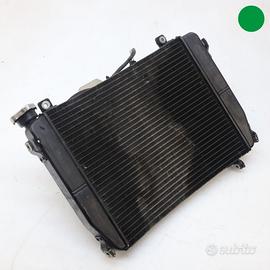 Radiatore acqua APRILIA Tuono 660 4T