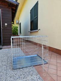 Trasportino animali