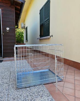 Trasportino animali