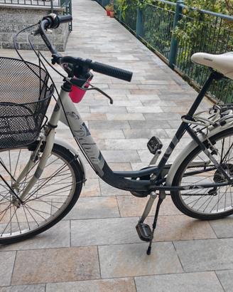 Bici delma brio