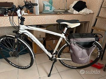 Bicicletta Bottecchia uomo