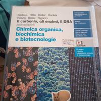 libri liceo classico 