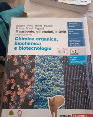 libri liceo classico 