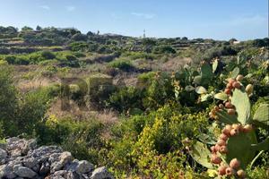 Terreno Edificabile - Pantelleria
