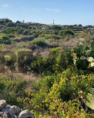 Terreno Edificabile - Pantelleria