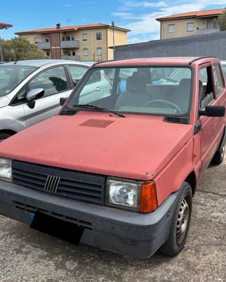 Fiat Panda 1100 i.e. cat Young