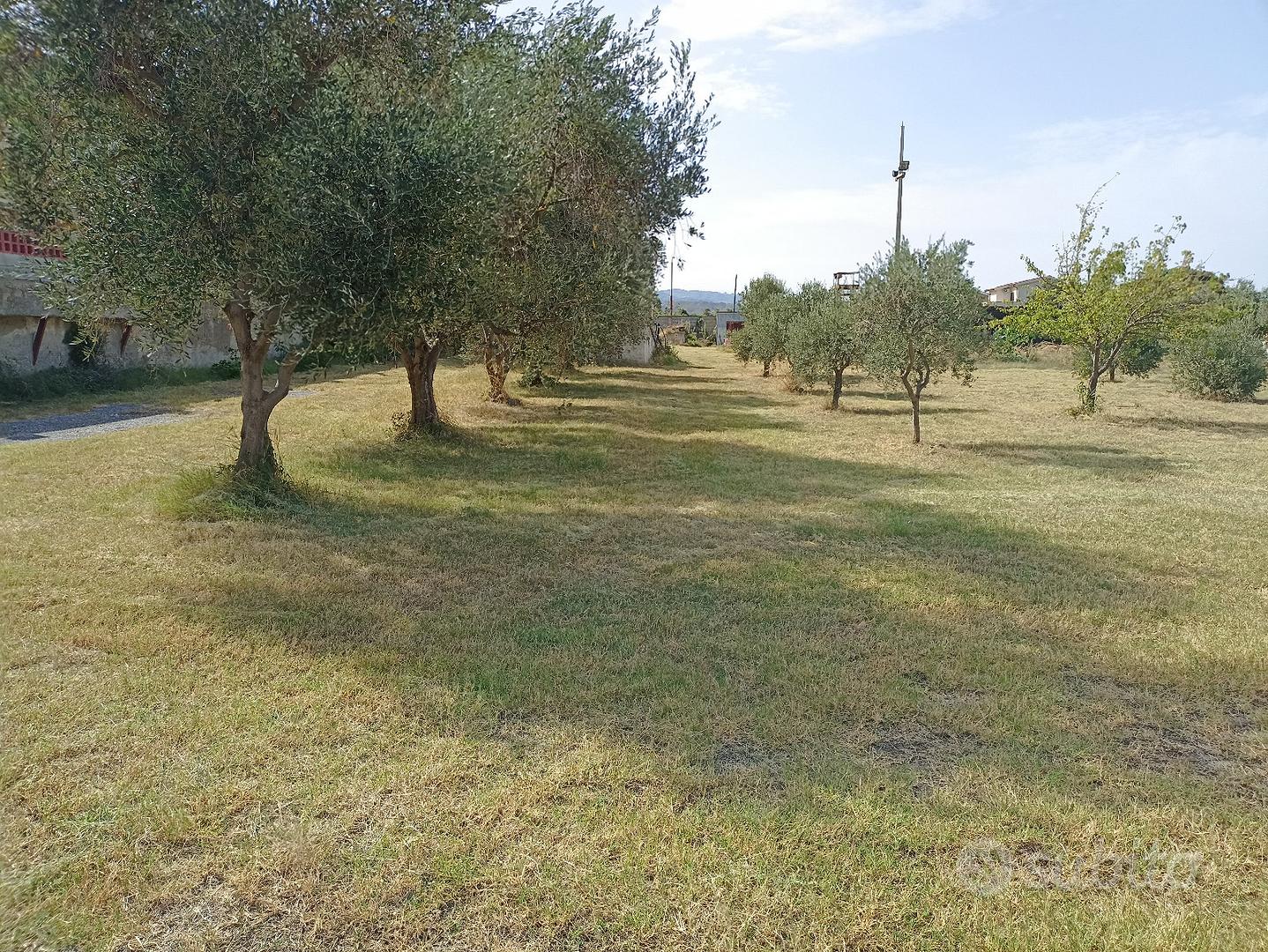 Terreno agricolo - Vista 5