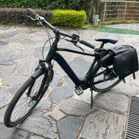 Biciclette elettriche