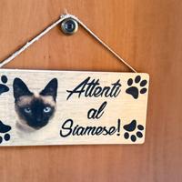 Targa: attenti al Siamese