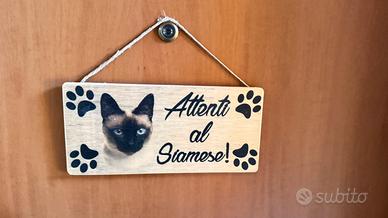 Targa: attenti al Siamese