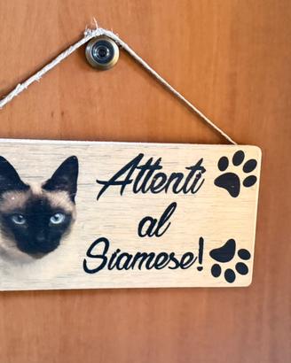 Targa: attenti al Siamese
