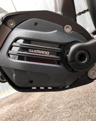 E Bike Triumph Trekker GT.