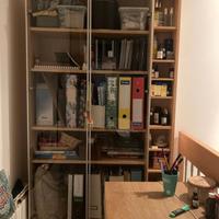 libreria billy effetto betulla con ante in vetro