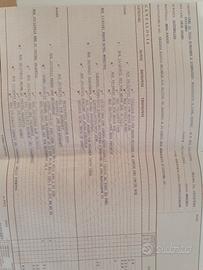 Rottweiler da monta con pedigree