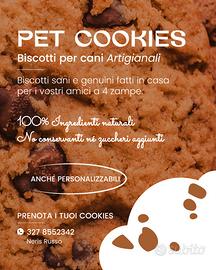 Biscotti per cani