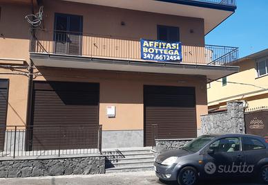 Bottega