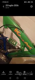Bici, mountain bike, mtb KAYAK CAD4